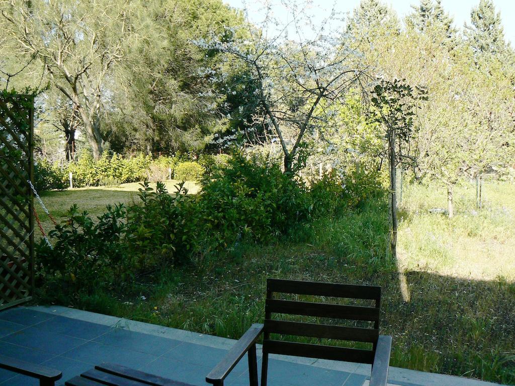 Etna Holiday Home Nicolosi Buitenkant foto