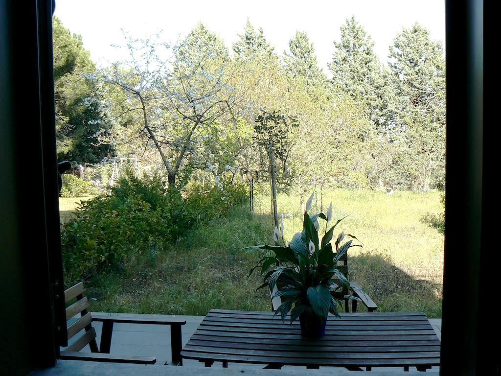 Etna Holiday Home Nicolosi Buitenkant foto